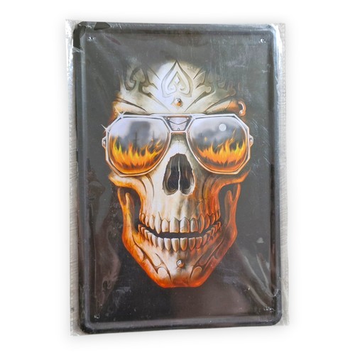 Blechschild totenkopf flammen - blechschild,